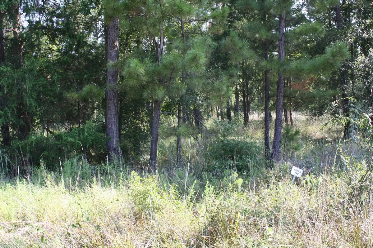 Lot 3 Morris Lane, Huntsville, TX 77320 - Image #1