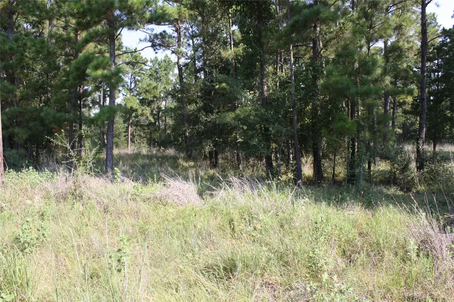 Lot 3 Morris Lane, Huntsville, TX 77320 - Image #3