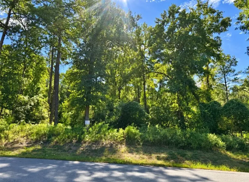 15-35-4 Feldspar Lane, Huntsville, TX 77340 - #3