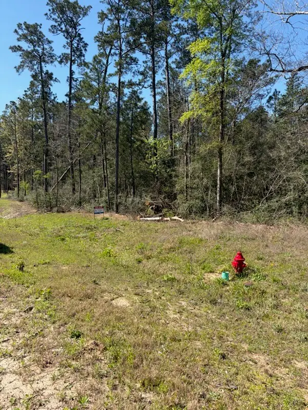 15633 Ridge Rock Road, Willis, TX 77378 - #1
