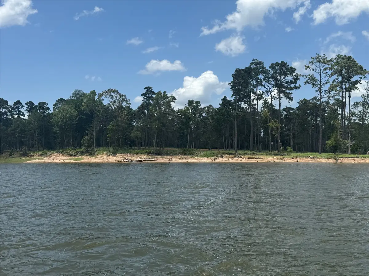 162 Foster Cove, Pineland, TX 75968 - #1