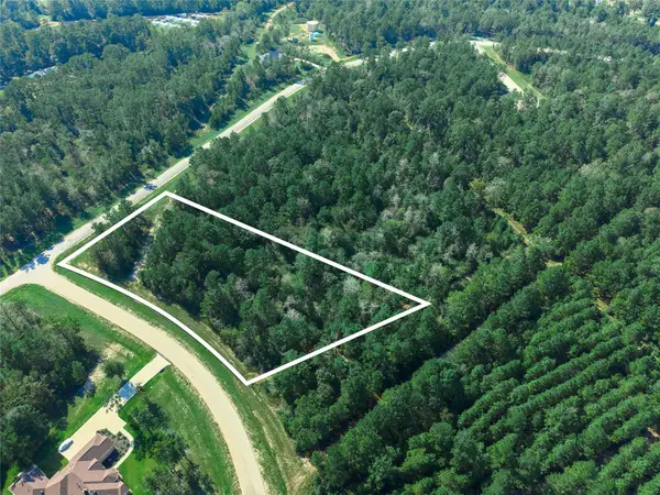 11911 Grand North Road, Willis, TX 77378