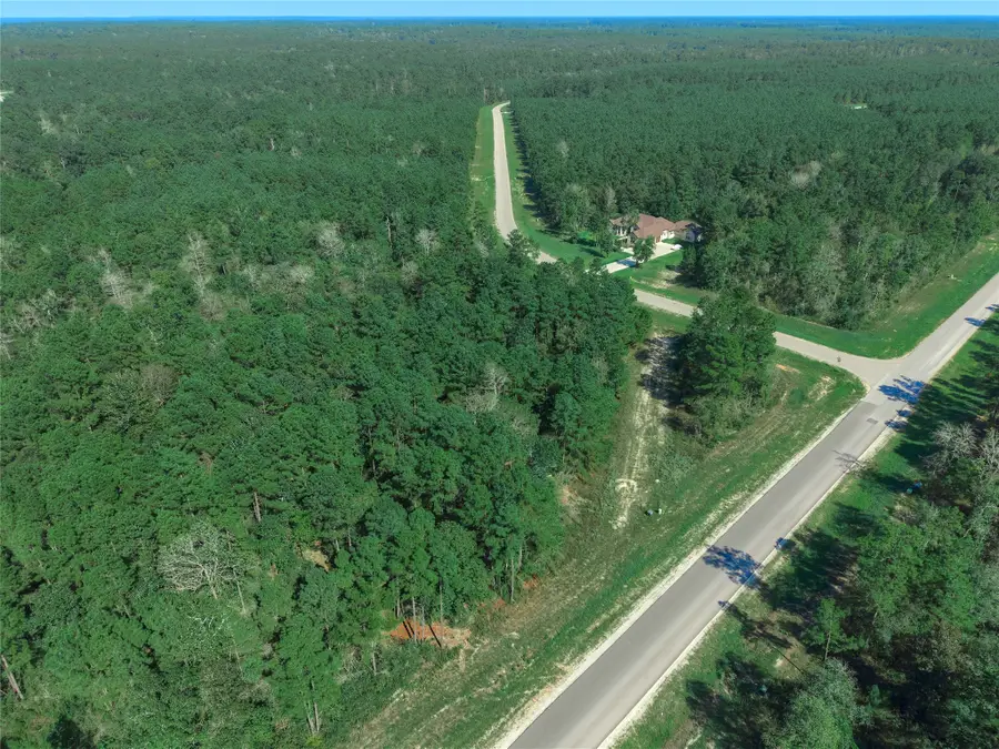 11911 Grand North Road, Willis, TX 77378 - #3