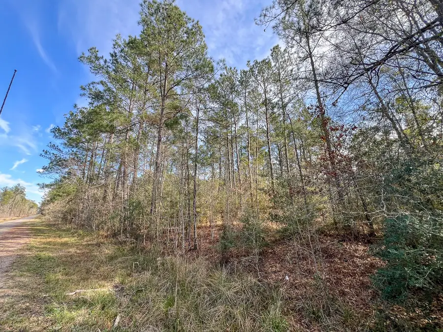 T-1 Zavalla Road, Mauriceville, TX 77626 - #3