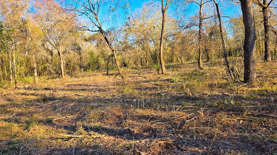 18503 Derrick Road, Navasota, TX 77868 - #2