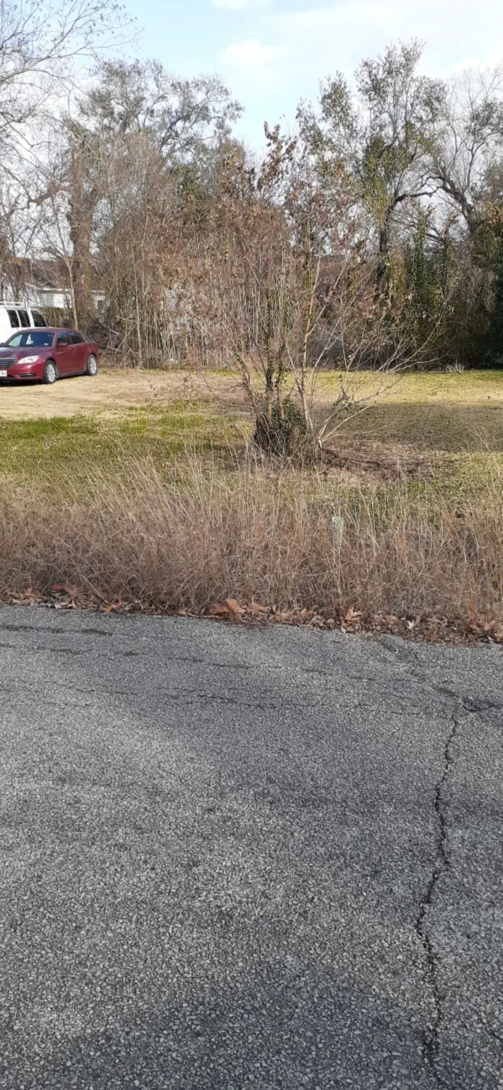 7031 Foster Street, Houston, TX 77021 - #1