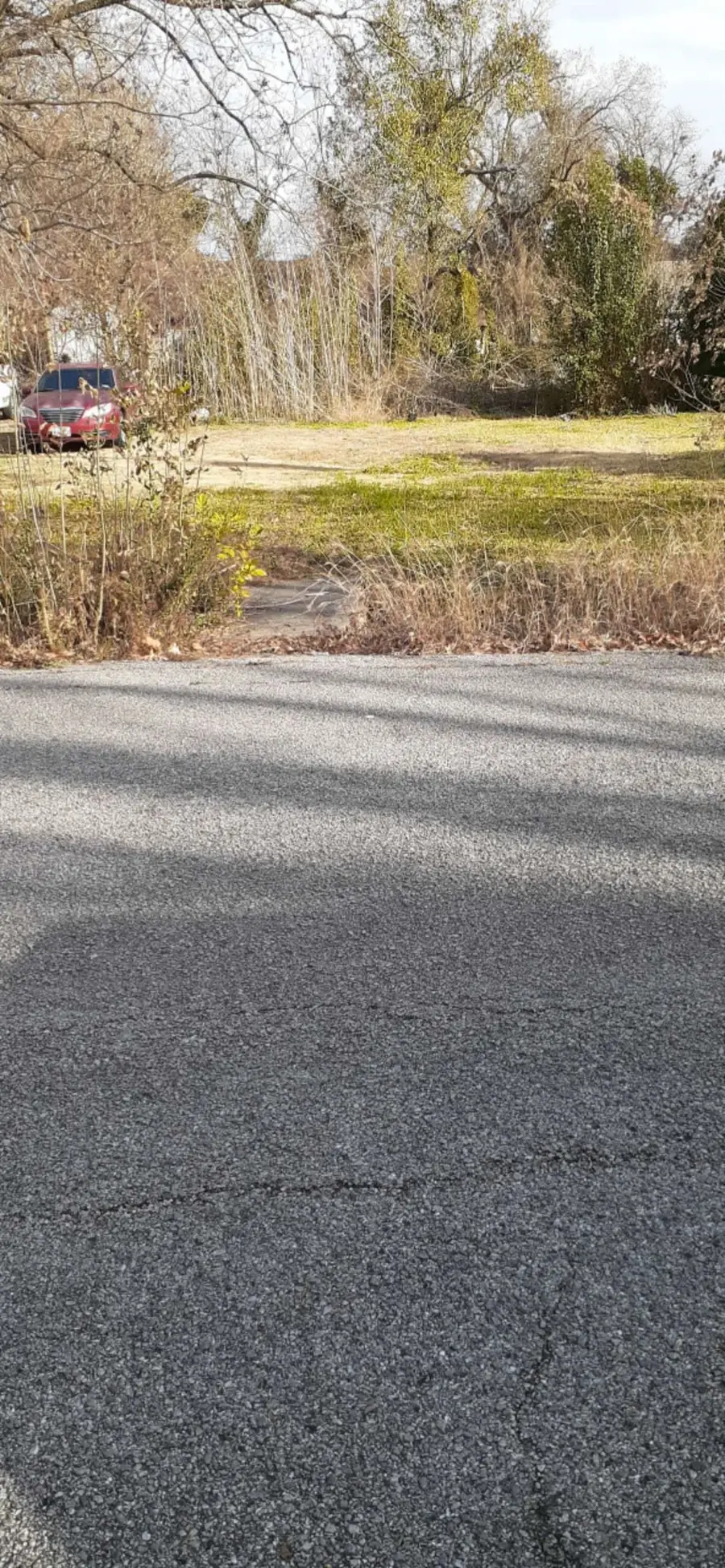 7031 Foster Street, Houston, TX 77021 - #2