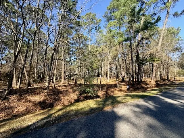2 Helena Court, Coldspring, TX 77331 - #1
