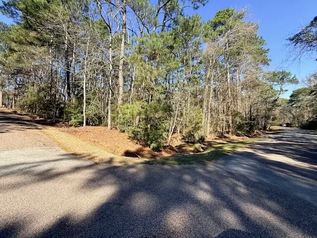 2 Helena Court, Coldspring, TX 77331 - #2