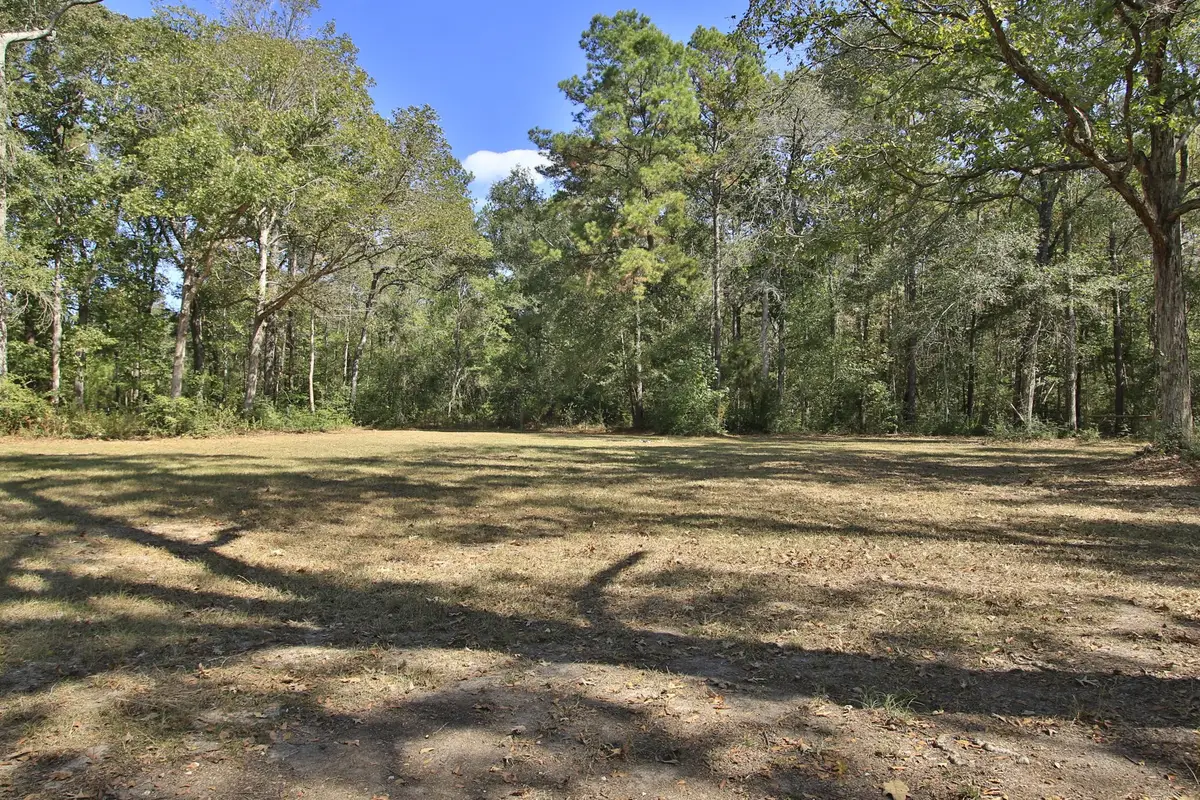 TBD County Road 57, Iowa Colony, TX 77583 - #1