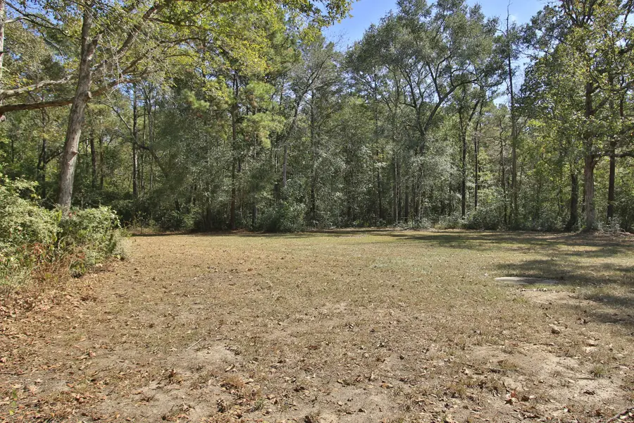 TBD County Road 57, Iowa Colony, TX 77583 - #2