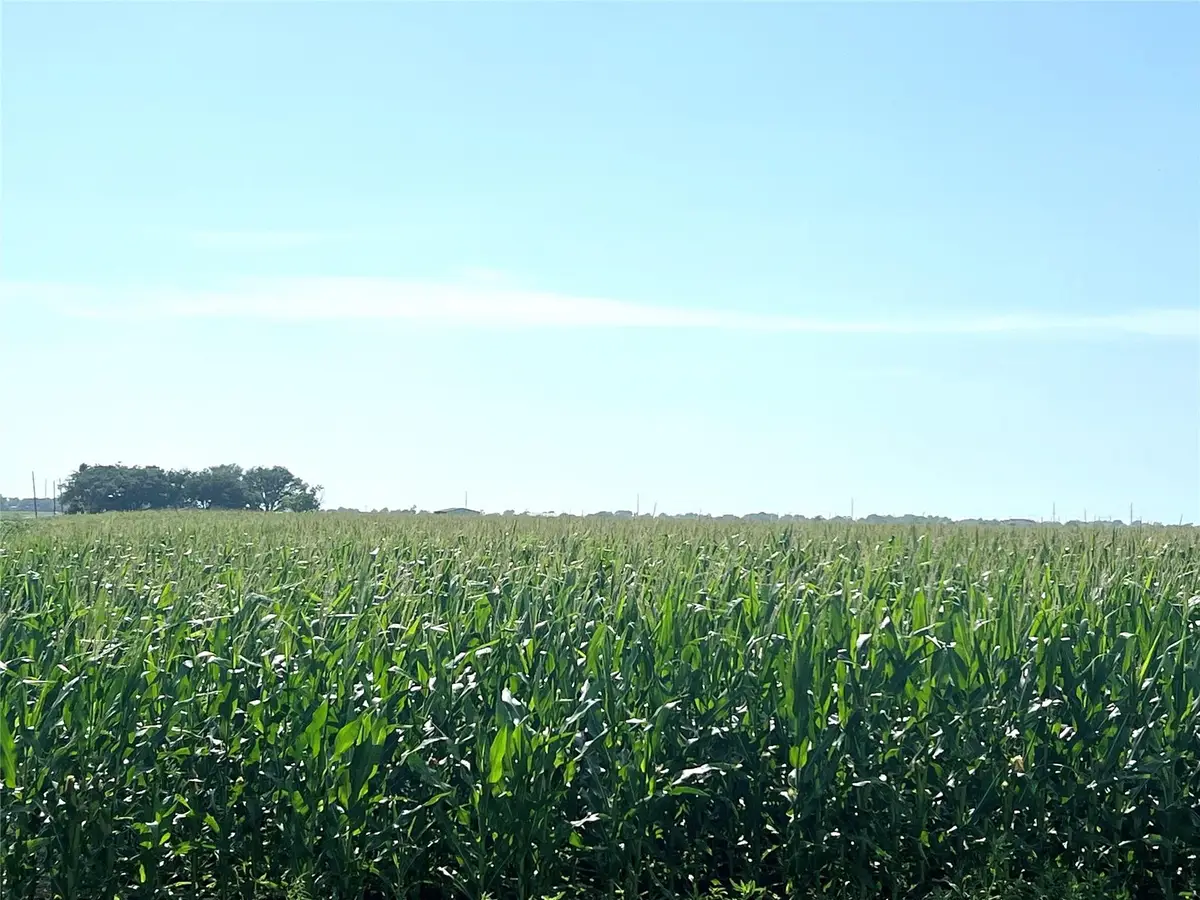 0 County Road 403, El Campo, TX 77437 - #1