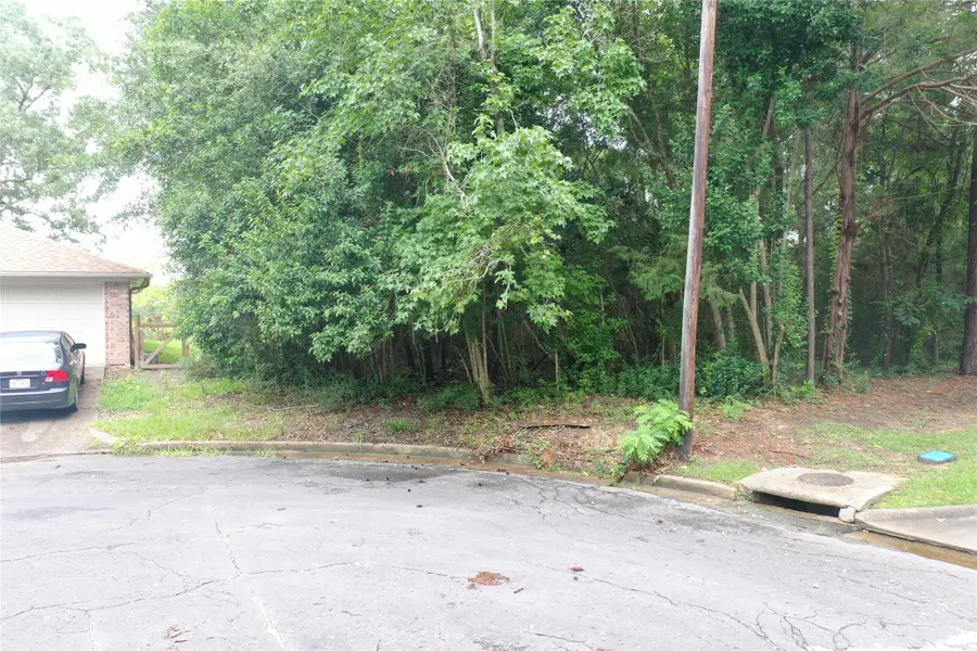 TBD Brinwood Place, Livingston, TX 77351 - Image #2