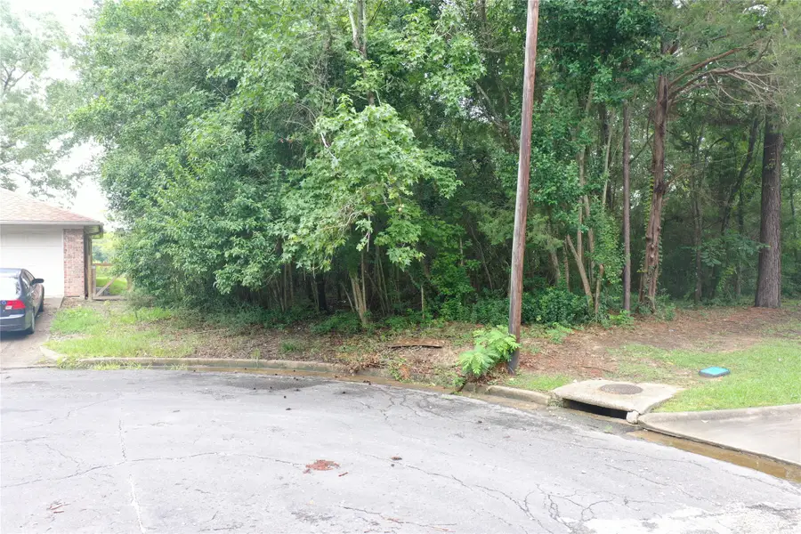 TBD Brinwood Place, Livingston, TX 77351 - Image #3