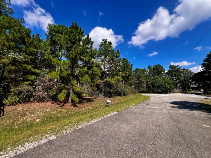 9485 Parkview Drive, Waller, TX 77484 - #2