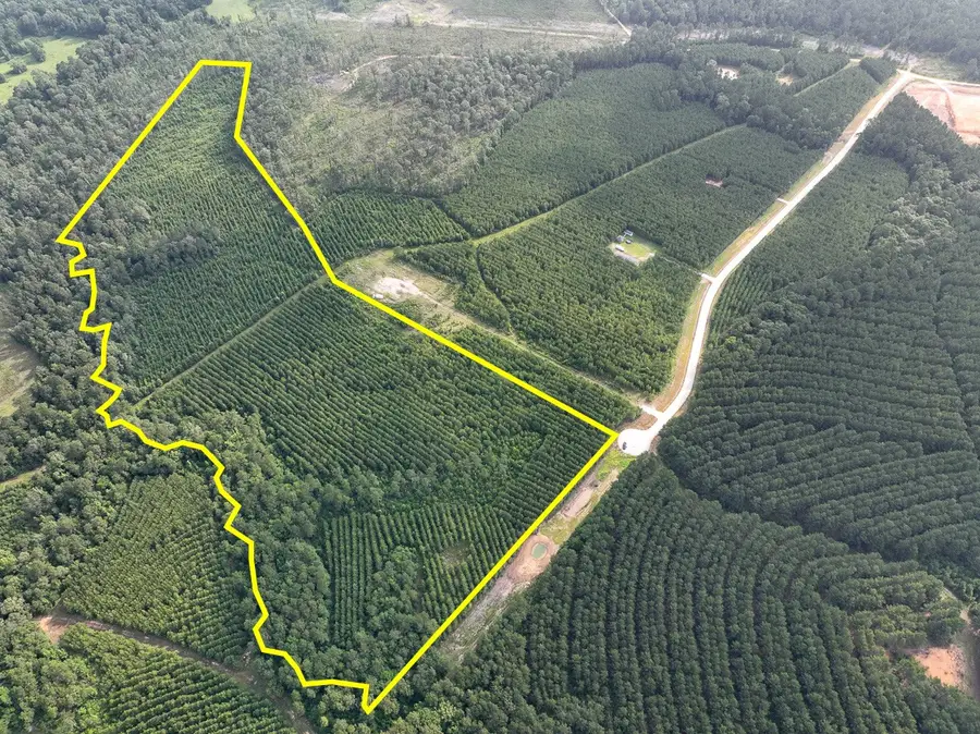 1 Cody Road, Livingston, TX 77351 - #2
