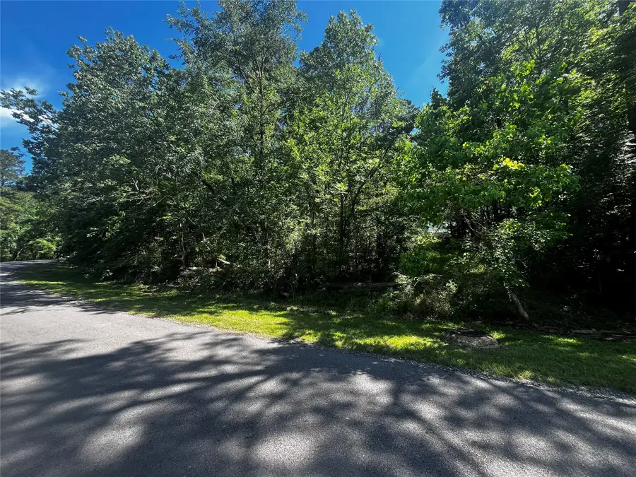 70 Wentworth Lane, Coldspring, TX 77331 - #2