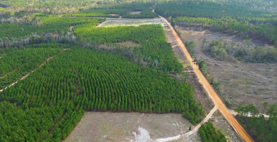 TBD Young Road, Livingston, TX 77351 - #2