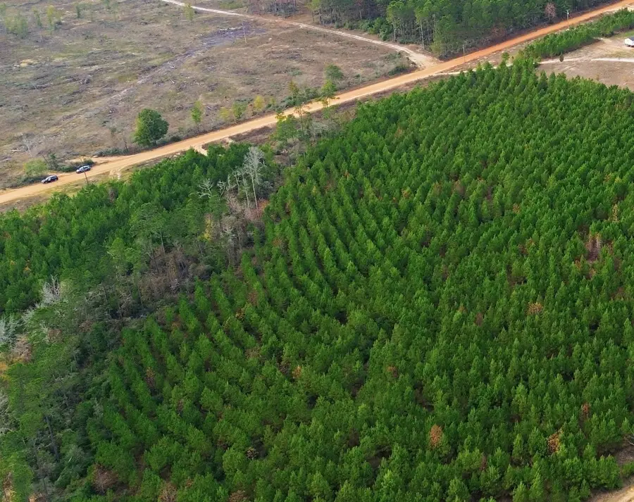 TBD Young Road, Livingston, TX 77351 - #3