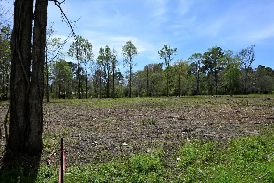 lot 5 County Road 2360, Hardin, TX 77575 - #2