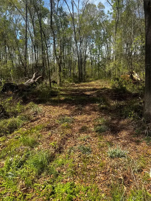 0 Winter Creek, Cleveland, TX 77328