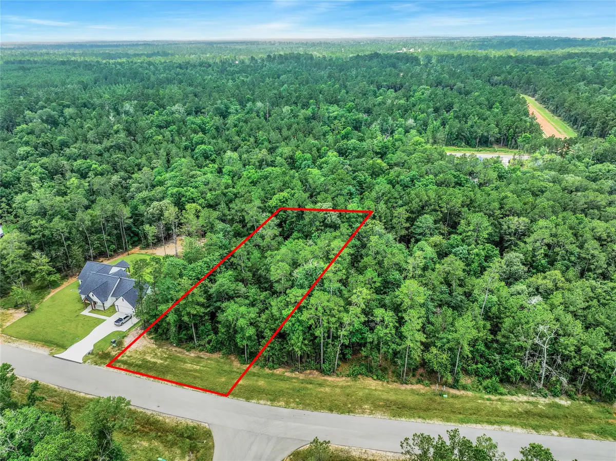 103 Eagle Run Road, Willis, TX 77378 - #1