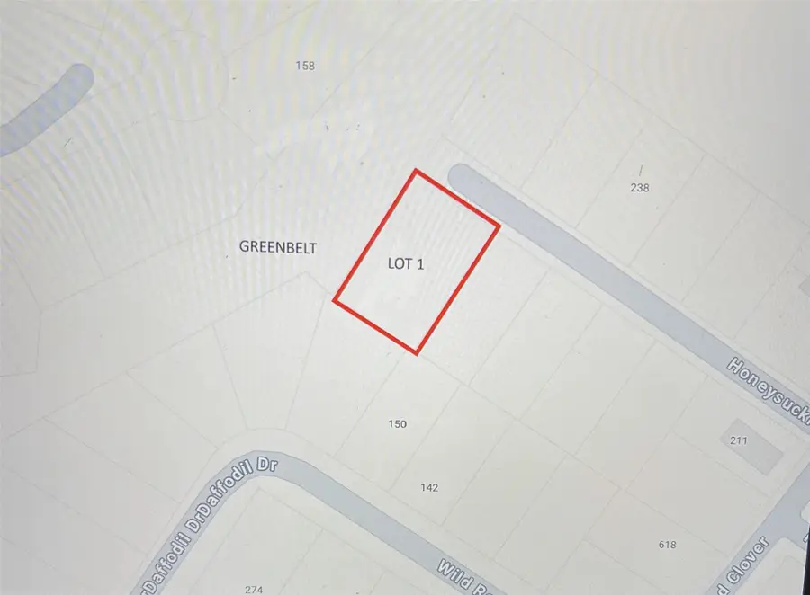 000 Honeysuckle, Livingston, TX 77351 - #2