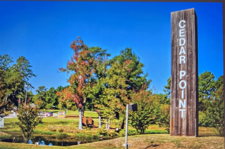 000 Honeysuckle, Livingston, TX 77351 - #3