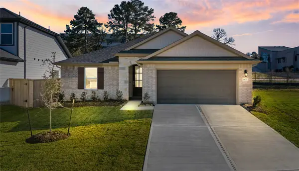 19737 Flag View Drive, Montgomery, TX 77316