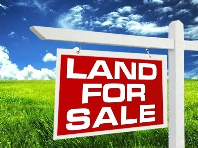 000 Guedry, Sour Lake, TX 77659 - #3