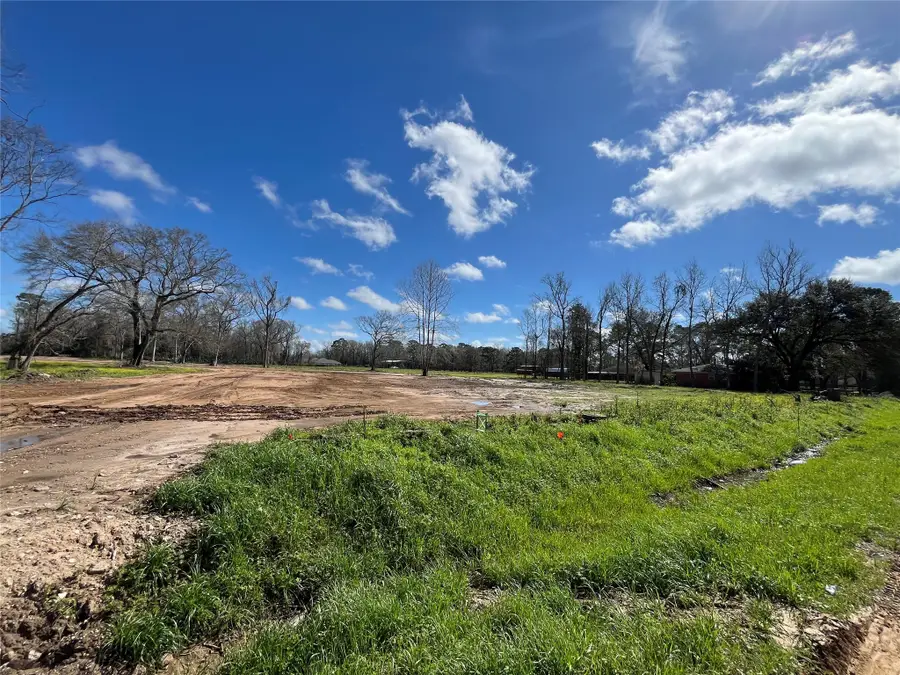 805 S Winfree Street, Dayton, TX 77535 - #3