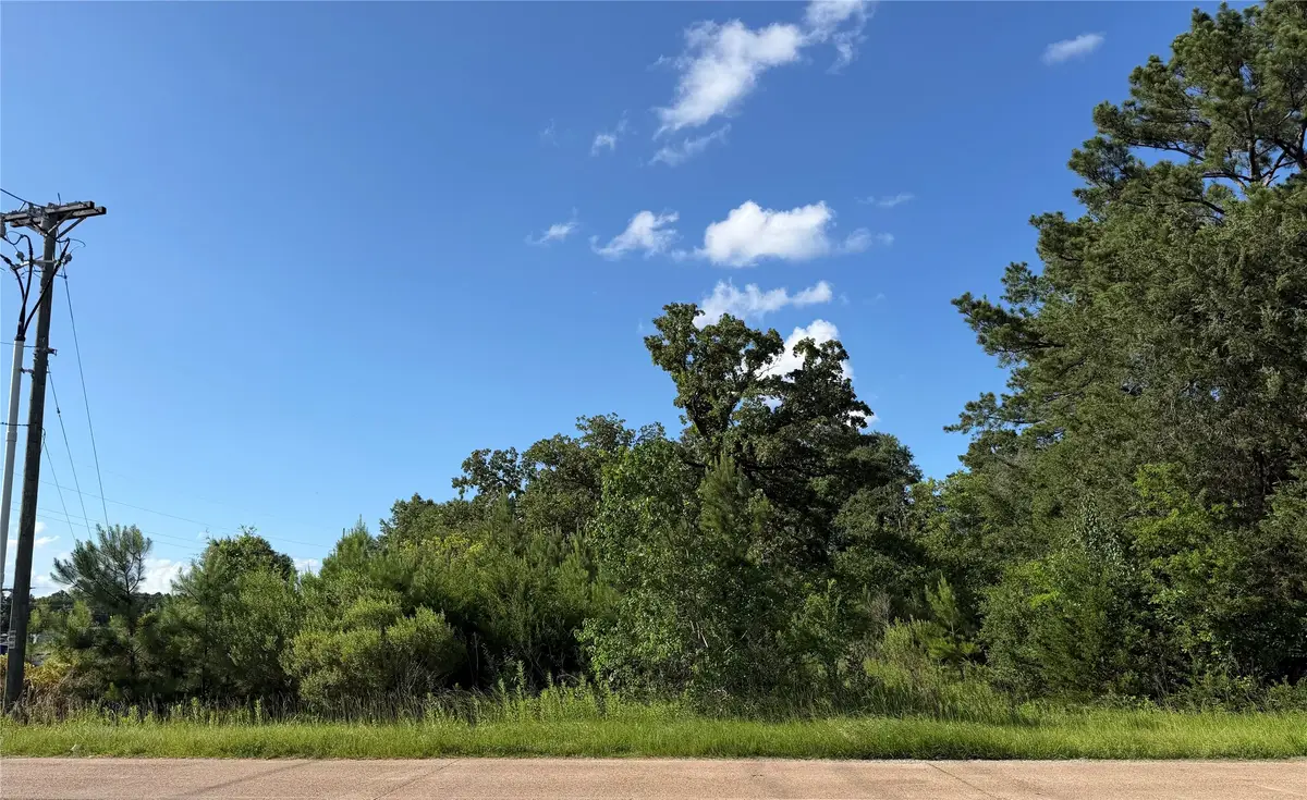 908 N Hendrix Avenue, Diboll, TX 75941 - #1