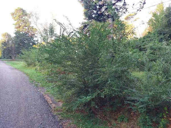 0 Pearson Street, Avinger, TX 75630