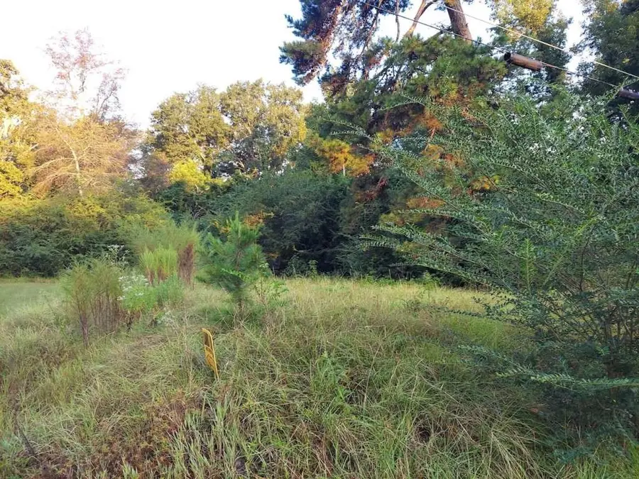 0 Pearson Street, Avinger, TX 75630 - Image #2