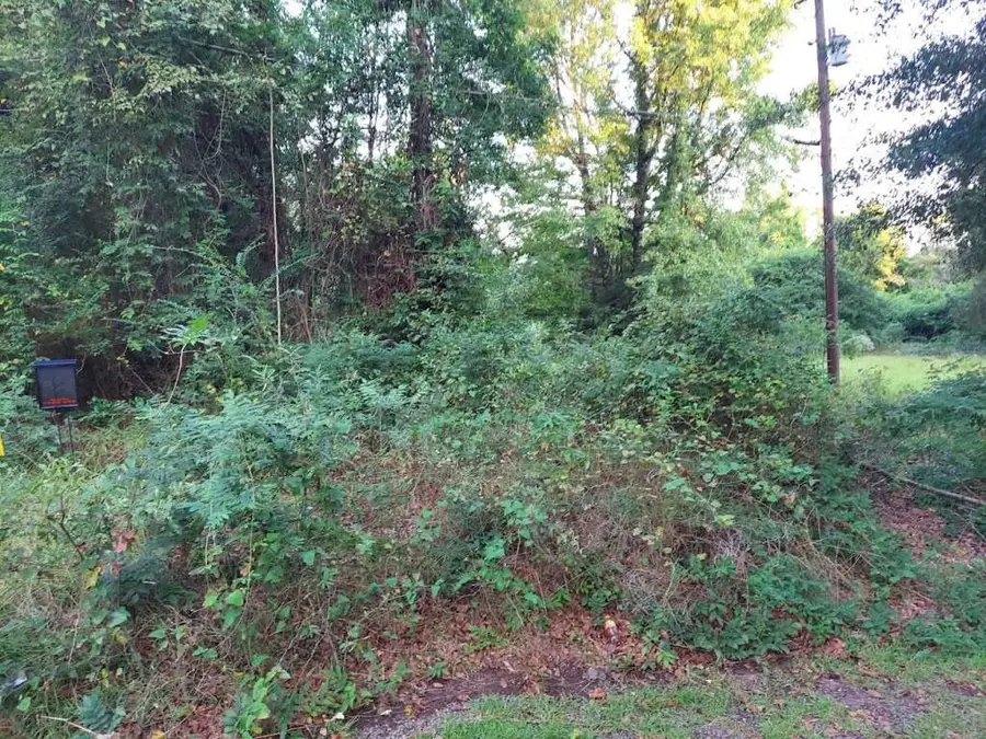 0 Pearson Street, Avinger, TX 75630 - Image #3