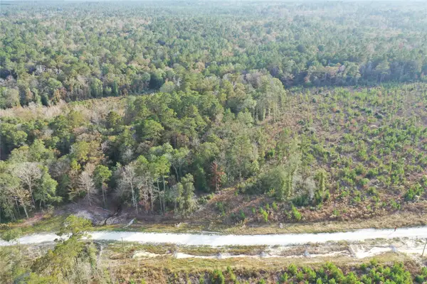 TBD Lady Luck Parcel Id 246445 Lane, Livingston, TX 77351