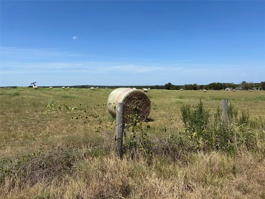 TBD E Sh 21, Paige, TX 78659 - #2