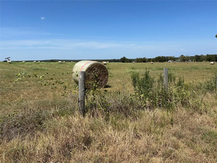 TBD E Sh 21, Paige, TX 78659 - #3