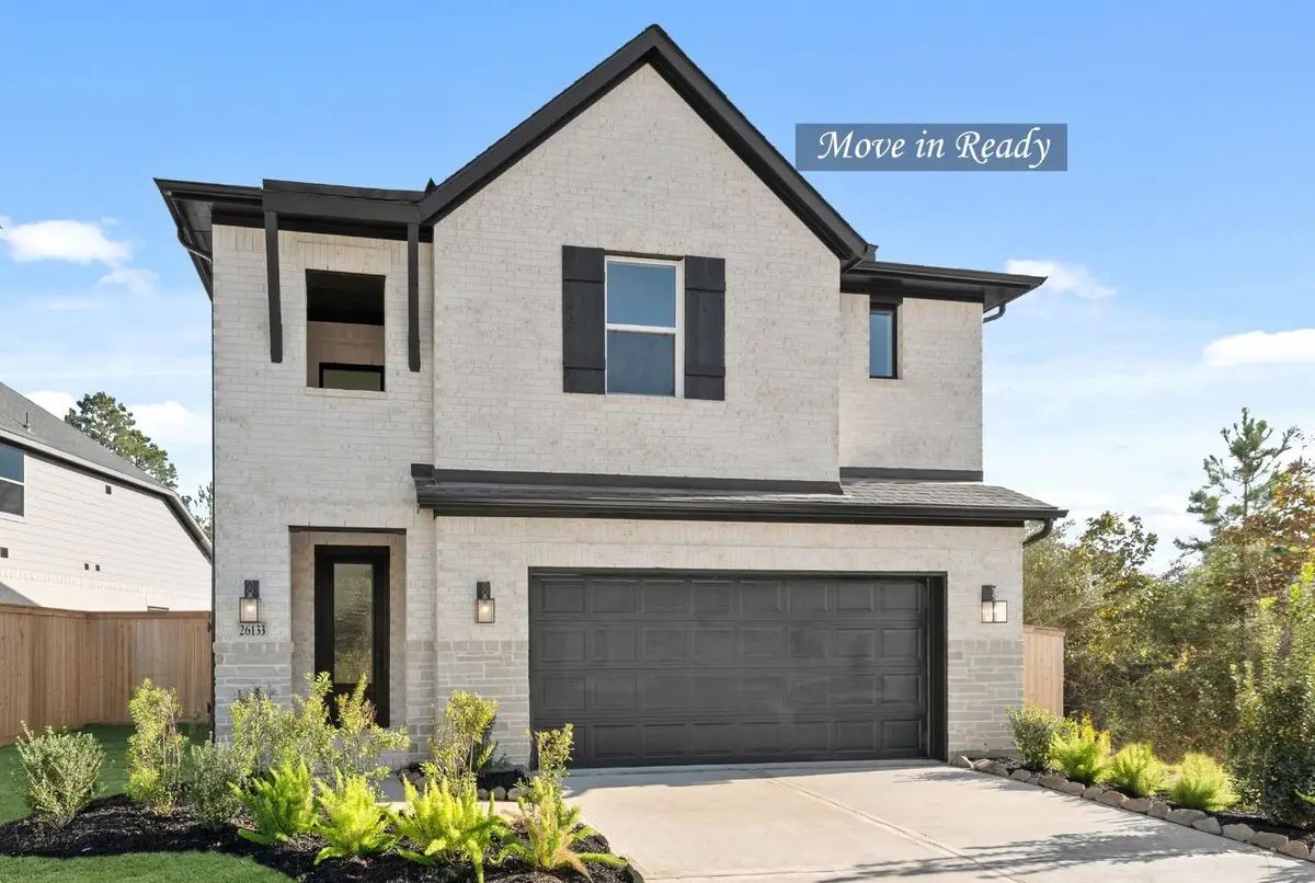 26133 North Skylight Brook Circle, Montgomery, TX 77316 - #1