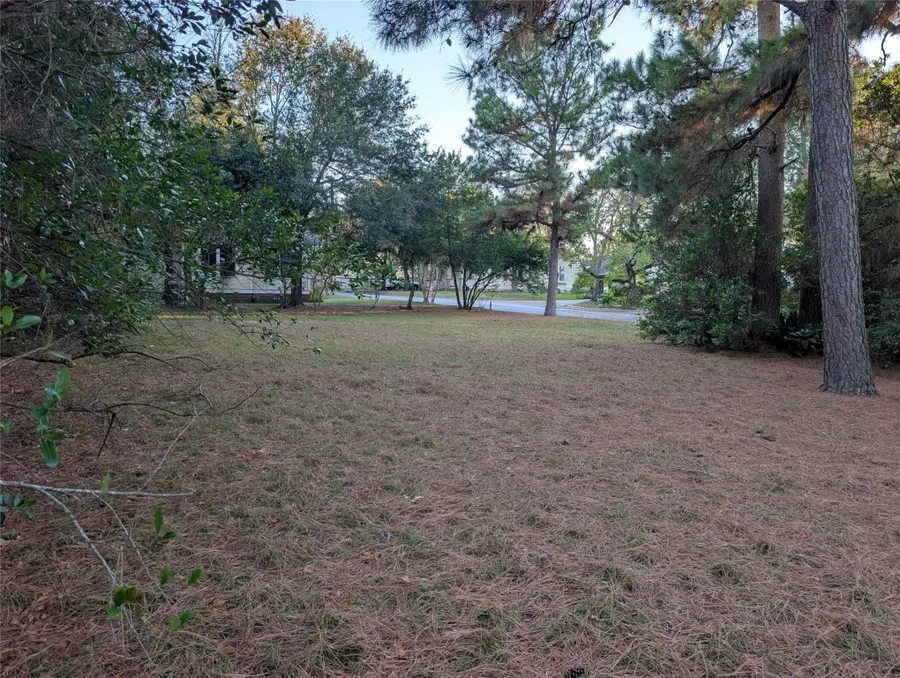 TBD Baylor Street, Brenham, TX 77833 - Image #2