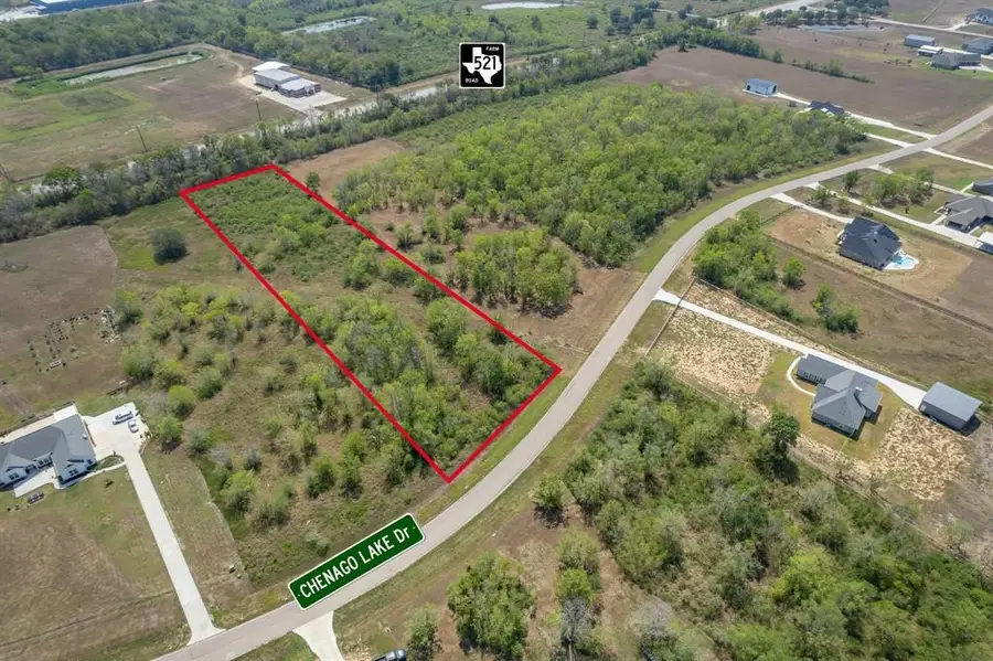 22611 Chenango Lake Drive, Angleton, TX 77515 - #3