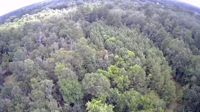 844 Pd Selman Road, Lufkin, TX 75901 - #2