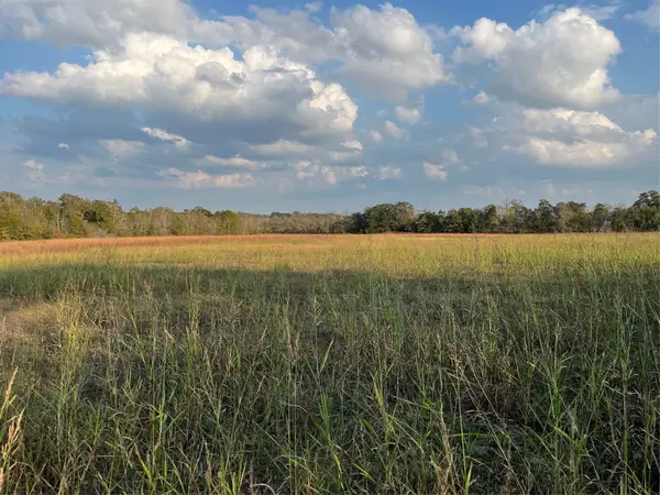 0 Squirrel Rd, New Ulm, TX 78950