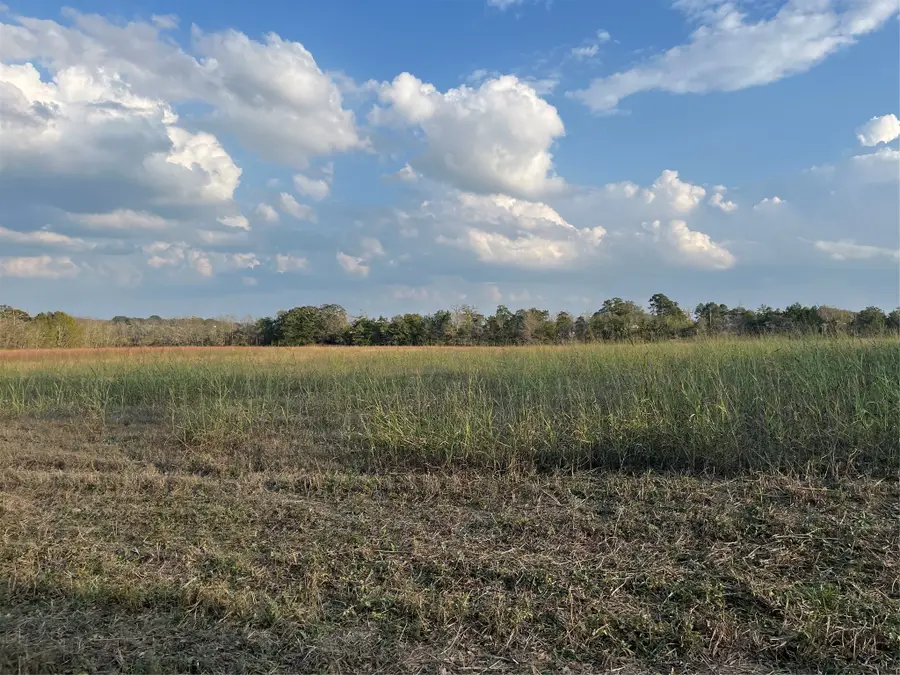 0 Squirrel Rd, New Ulm, TX 78950 - Image #3