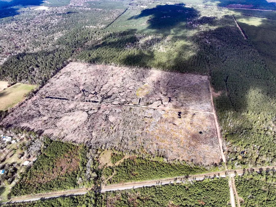 0 Old Honey Island Road, Kountze, TX 77625 - Image #2