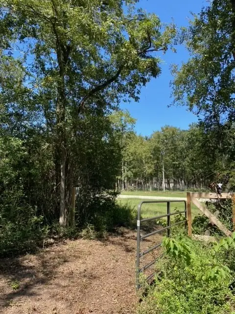 UNK Sawmill Road, Franklin, TX 77856 - #3