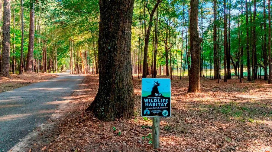 11161 Fm 344 W, Bullard, TX 75757 - #3