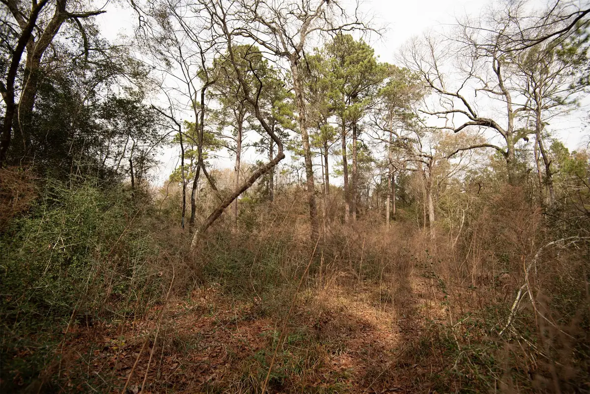 TODD MISSION DR Todd Mission Drive, Plantersville, TX 77363 - #1