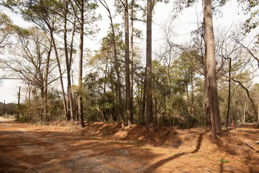 TODD MISSION DR Todd Mission Drive, Plantersville, TX 77363 - #2