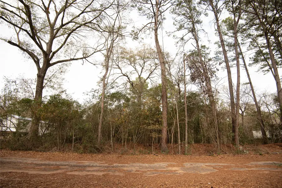 TODD MISSION DR Todd Mission Drive, Plantersville, TX 77363 - #3